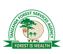 dorestiwealth